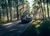 Lexus NX 450h på vei i skog