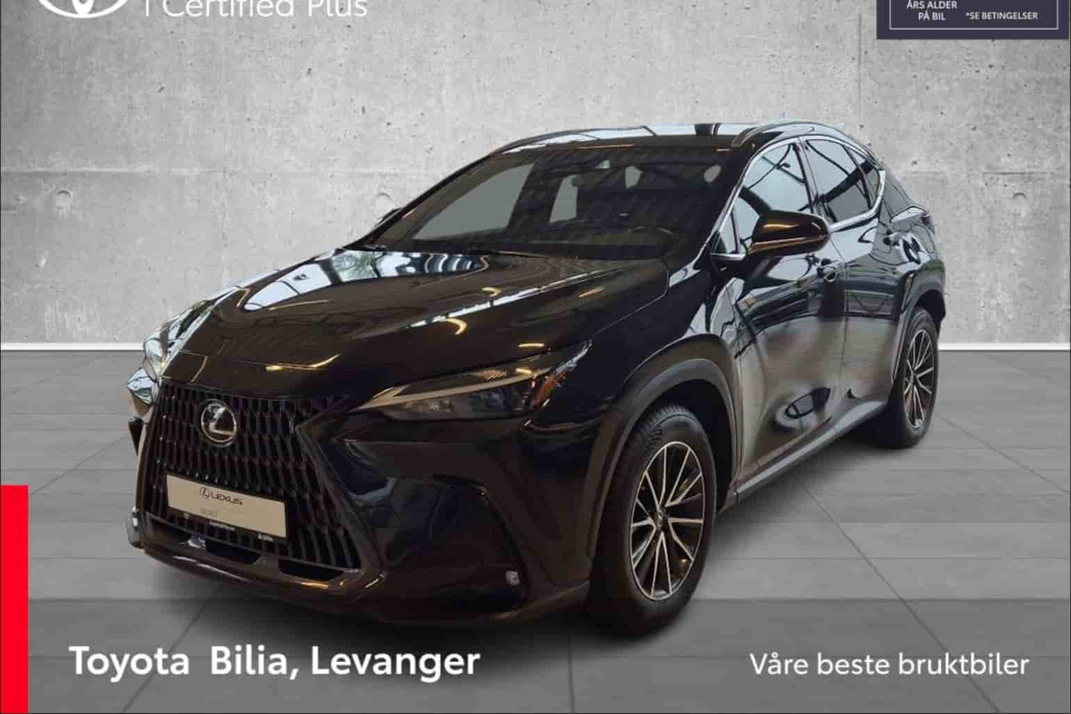 Bild 1 av 21