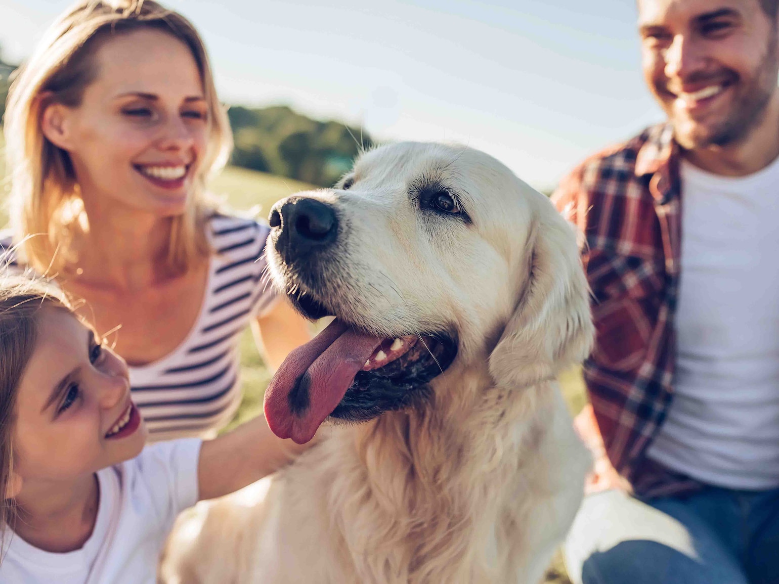 Hund og familie