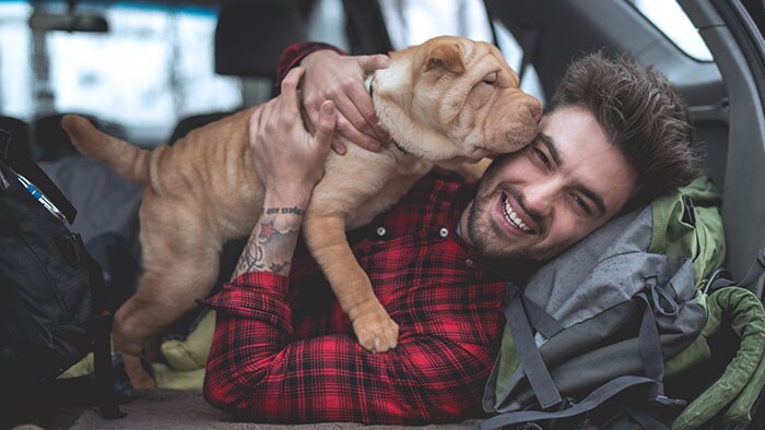 Hund og hundeeier i bil